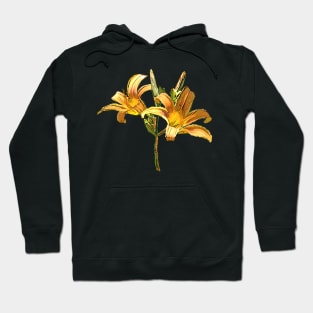 Daylily Blooms Hoodie